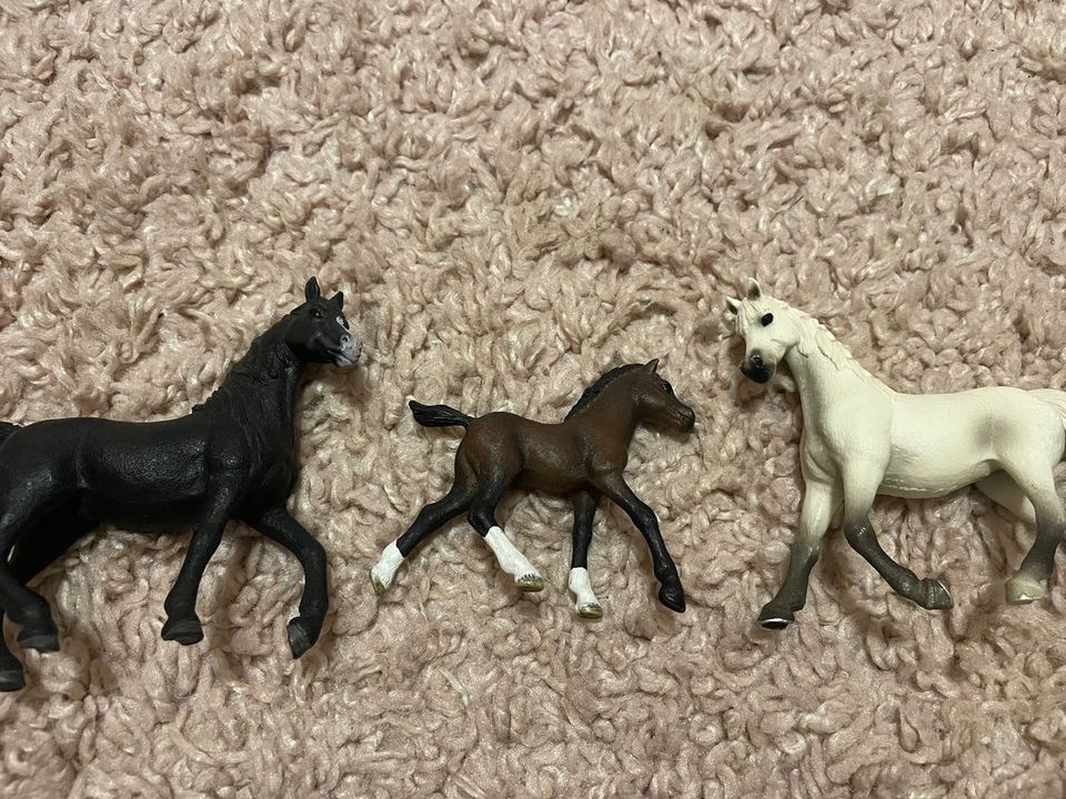 Schleich Pferde Pony Set in Kerpen