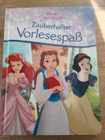 Prinzessinnen Buch Kinderbuch Niedersachsen - Bad Laer Vorschau