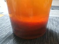 Kombucha Teepilz, Scoby Niedersachsen - Wendeburg Vorschau