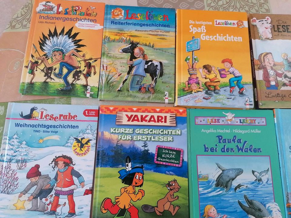 Kinderbücher Leserabe und Leselöwe in Eltmann