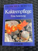 Fleischer / Schütz Kakteenpflege Der Klassiker von 1978 Bayern - Bayreuth Vorschau