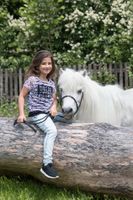 Ponytag, Abenteuerspaß mit Pferden, Reiten auf Pferden Bayern - Genderkingen Vorschau