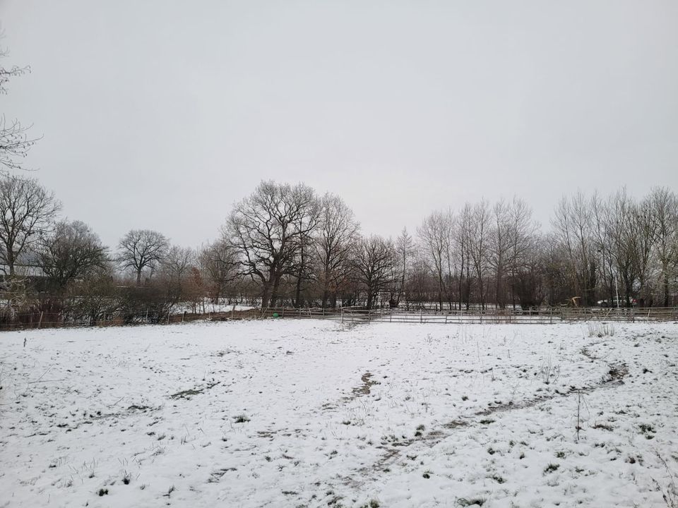 Einzigartiges Freizeitparadies für Naturliebhaber und Pferdefreunde! in Immenstedt (bei Albersdorf)