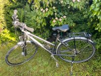 Fahrrad Bergamont Horizon 7.9 Rahmen 48 Damen Bayern - Erding Vorschau