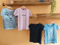 Kleines 4xTshirt Paket Next H&m Katze Amazing Hessen - Mörfelden-Walldorf Vorschau