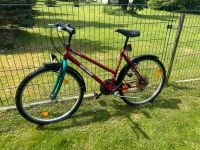 Fahrrad 26 Zoll Einsteigerfahrrad Sachsen - Schlema Vorschau