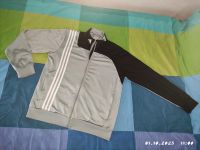 ADIDAS Joggingjacke Rheinland-Pfalz - Kaiserslautern Vorschau