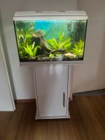 Juwel Aquarium mit Unterschrank und Besatz Bergedorf - Hamburg Allermöhe  Vorschau