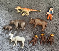 Playmobil Tiere - Kuh Bär Elch Affe Dinosaurier - top Pankow - Weissensee Vorschau