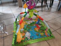 Spielbogen Spieldecke Krabbeldecke Fisherprice Rain forest Rheinland-Pfalz - Asbach Vorschau