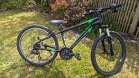 CANNONDALE Bike Mountainbike Fahrrad Kinder 24 Zoll Bayern - Altdorf bei Nürnberg Vorschau