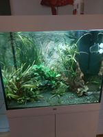 Aquarium Juwel Lido 200 Niedersachsen - Westoverledingen Vorschau