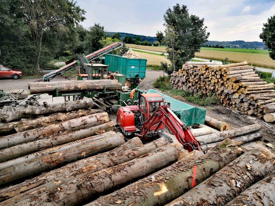 Brennholz Kaminholz Hartholz Weichholz Buche Esche Fichte in Schwabmünchen