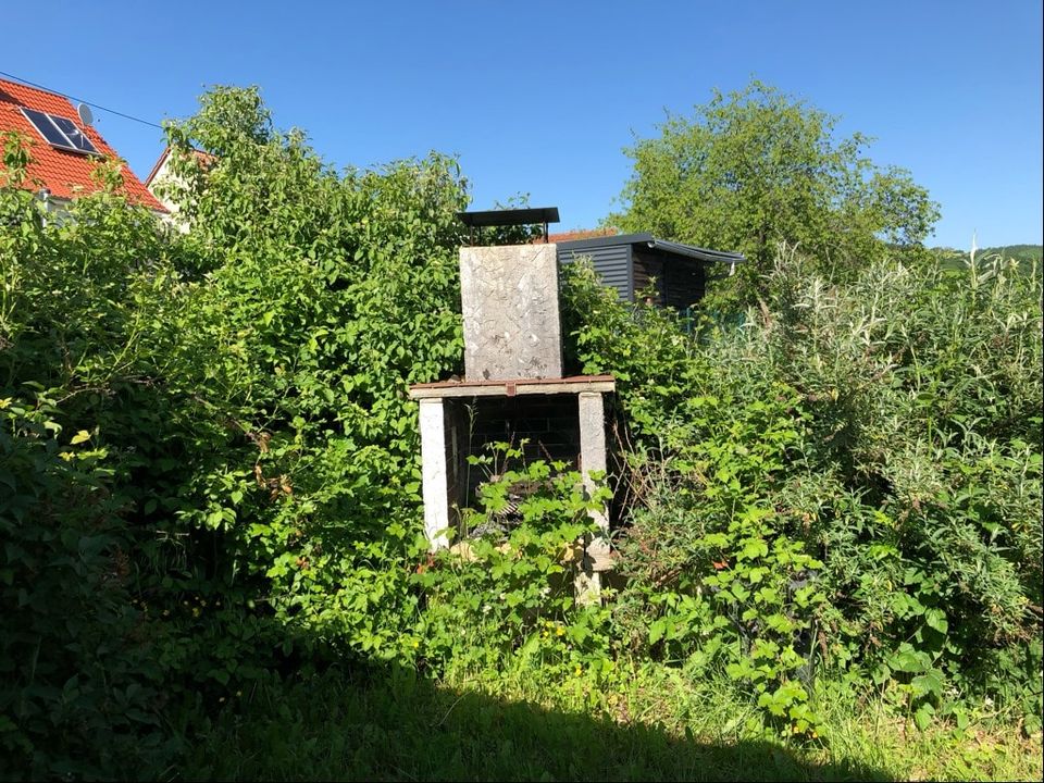 Renovierungsbedürftiges Wohnhaus mit Garten und Grill in Neunkirchen