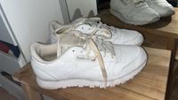 Reebok sneaker West - Schwanheim Vorschau