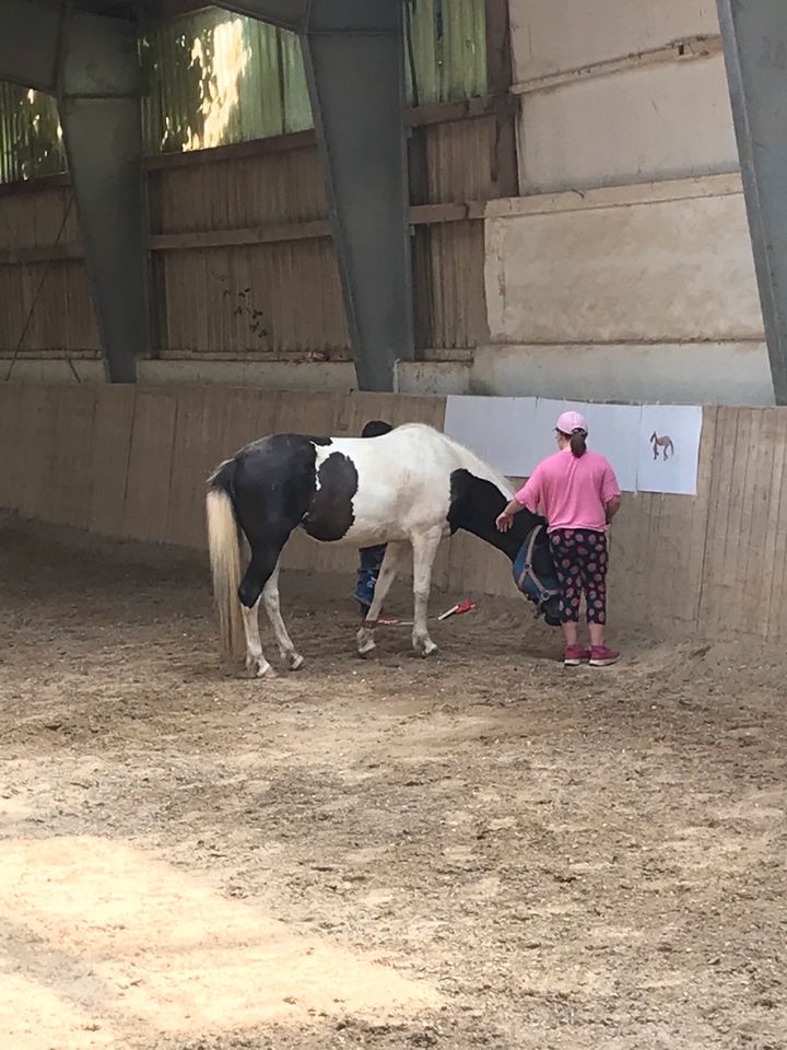 Kinder Academy -LERNEN & SPIELEN MIT PFERDEN in Möckmühl