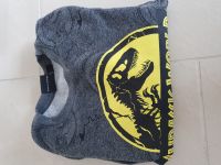 Schöner Jurassic World Pullover 128 Baden-Württemberg - Sersheim Vorschau