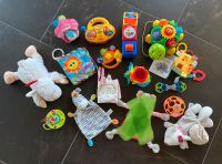 Babyspielzeug Paket tolle Marken Nordrhein-Westfalen - Netphen Vorschau