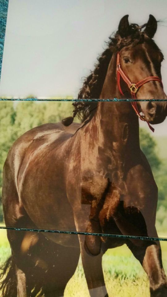 Glasbild Pferd in Unterhaching