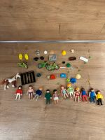 Playmobil Figuren und Zubehör Hessen - Lampertheim Vorschau