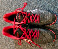 Asics Sportschuhe für Herren in Größe 47 Dresden - Löbtau-Süd Vorschau
