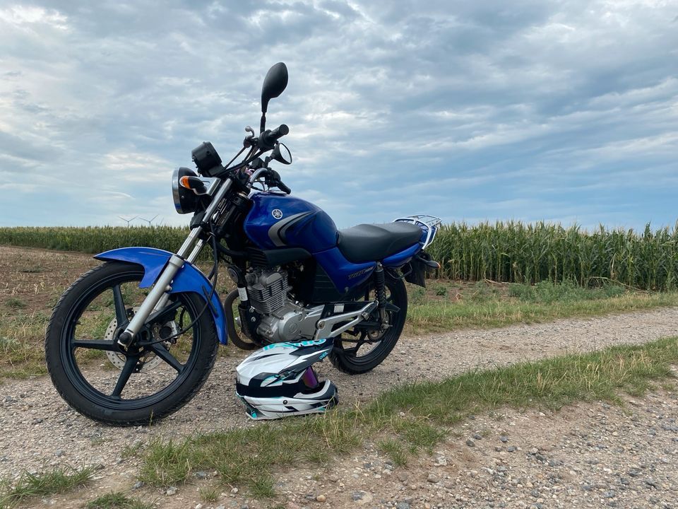 Yamaha YBR 125 in Plötzkau