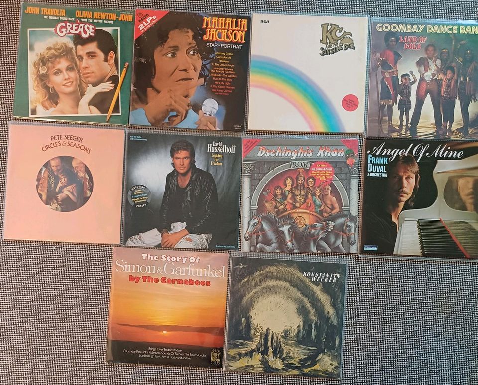 Einige Vinyl Schallplatten in Herten
