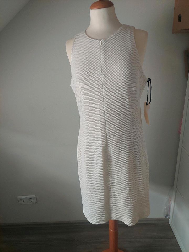 Drykorn Kleid Baumwolle  neu gr.40/42 gr.5 milchweiß in Düsseldorf