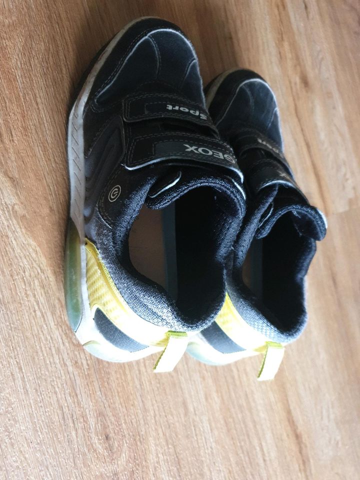 Original Geox Sport Schuhe,  Größe 35 in Wermelskirchen