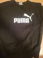 Puma pullover Gr. 36 Sachsen - Frohburg Vorschau