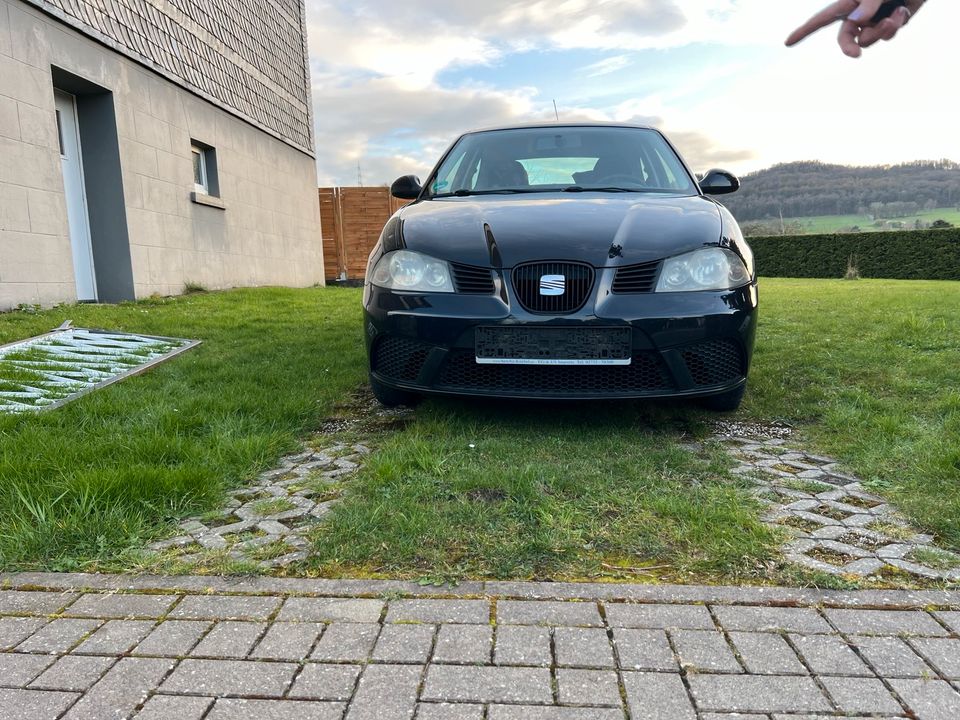 Seat Ibiza in Freudenberg