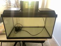 60L Juwel Aquarium Harburg - Hamburg Eißendorf Vorschau