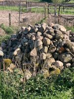 Feldsteine verschiedene Größen abzugeben Brandenburg - Jühnsdorf Vorschau