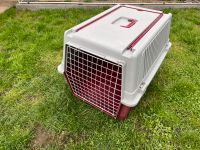 ATLAS 40 Transportbox für Hunde,Katzen, Papageien, Vogel Bayern - Augsburg Vorschau