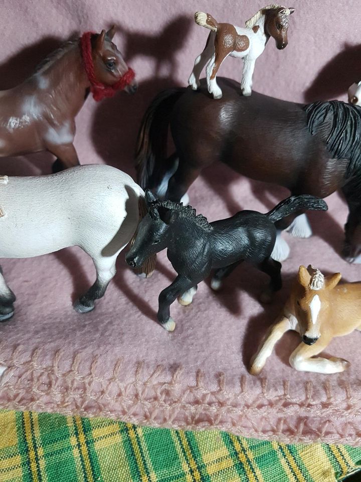 Schleich Tiere in Geldern