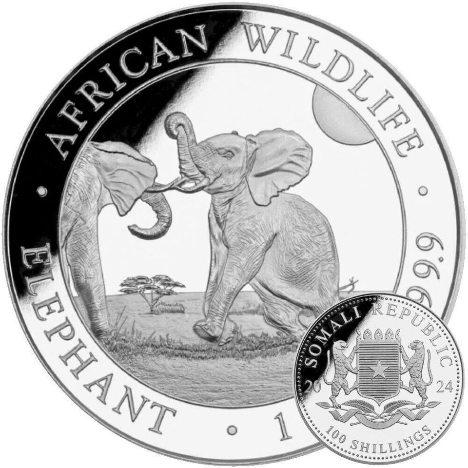 SOMALIA ELEFANT 2024       20 Silbermünzen in Orginal BOX in Lübben