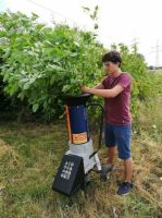 Häcksler bis 5,5 cm Aststärke, Elektro, mieten Bayern - Wolfratshausen Vorschau