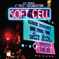 Soft Cell Say Hello Wave Goodbye 2 CD + 1 DVD  Special Edt. OVP Rheinland-Pfalz - Gau-Bischofsheim Vorschau