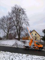 Baum fällen Schneebruch Windbruch Wurzel fräsen Holz Häckseln Sachsen - Leisnig Vorschau
