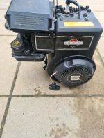 Gartenhacke Motor Briggs & Stratton Nordrhein-Westfalen - Geilenkirchen Vorschau