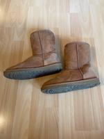 Ugg Boots Stiefeletten in 36 braun/chestnut wie neu Buchholz-Kleefeld - Hannover Groß Buchholz Vorschau