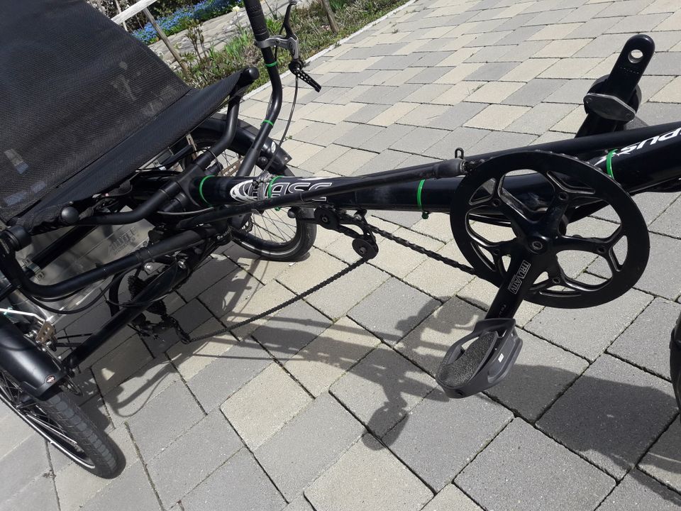 Hase Bike Lepus Dreirad Behindertenrad Sitzrad E Bike Motor Reha in Lindenberg im Allgäu