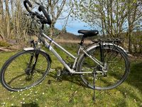 Damenfahrrad von Winora Bayern - Eltmann Vorschau