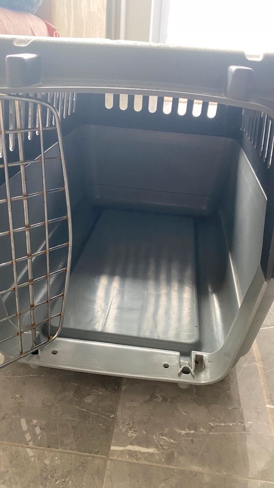 Katzen Hunde Transportbox Box in Durlangen