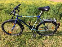 Fahrrad Herren Active Mountainbike Rahmen 55cm Shimano Baden-Württemberg - Königsbach-Stein  Vorschau