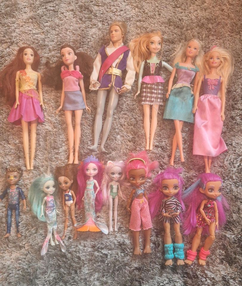 Barbie ♡ Enchantimals♡Cave Club Figuren/Puppen in Wiesmoor