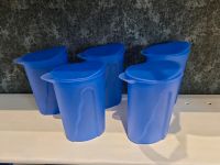 Tupperware Kannen 1Liter / Blau Dithmarschen - Burg (Dithmarschen) Vorschau