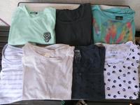 7 Shirts von Cecil, Tchibo, Staccato usw Für 7 Shirts 8,-€ Gr 40 Hessen - Calden Vorschau