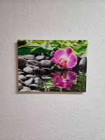 Leinwandbilder-Set 4-teilig Orchideen wie neu! Dithmarschen - Heide Vorschau
