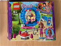 Lego Friends Set 41383 inklusive OVP Sachsen-Anhalt - Magdeburg Vorschau